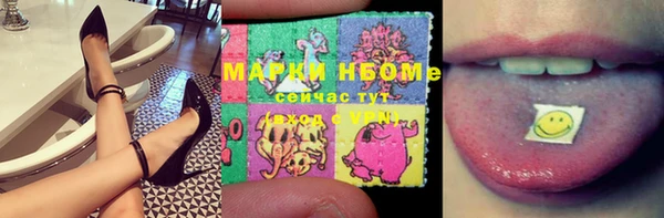прущие грибы Бородино