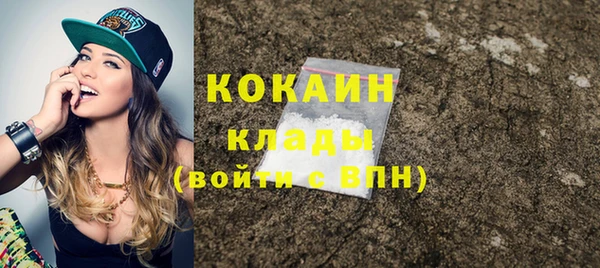 прущие грибы Бородино