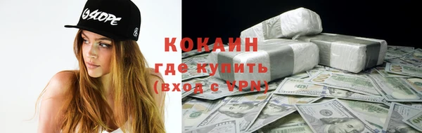 прущие грибы Бородино