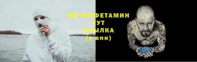 прущие грибы Бородино