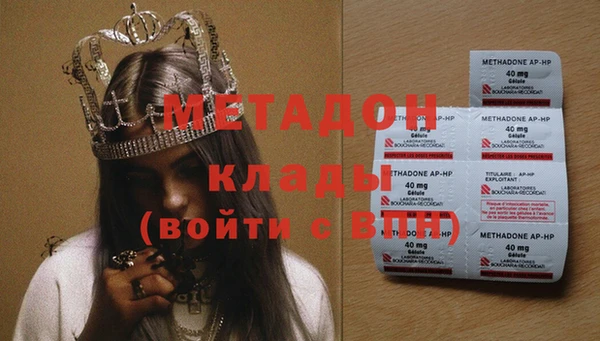 прущие грибы Бородино