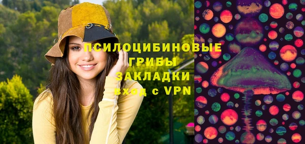 прущие грибы Бородино