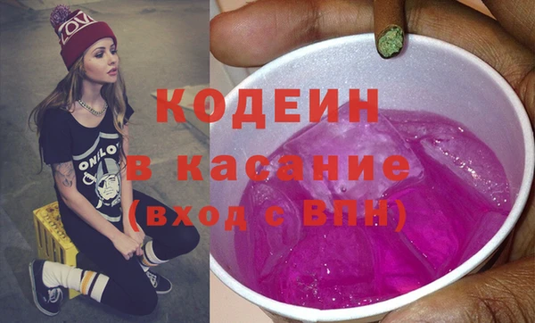 прущие грибы Бородино