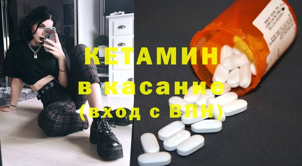 прущие грибы Бородино