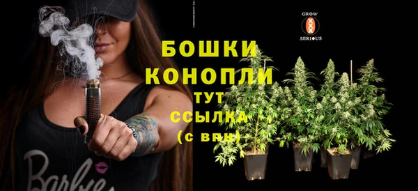 твердый Бронницы