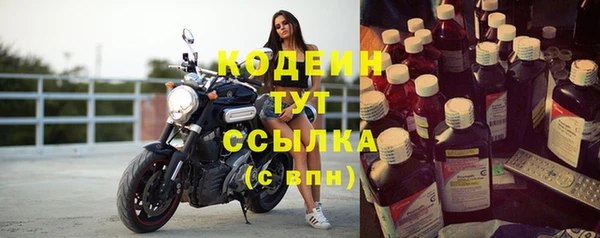 прущие грибы Бородино