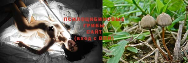 прущие грибы Бородино