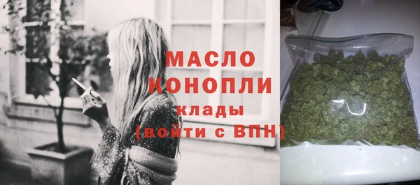 прущие грибы Бородино