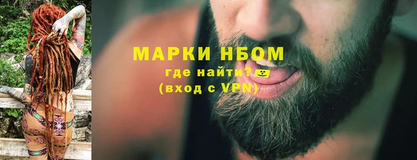 прущие грибы Бородино