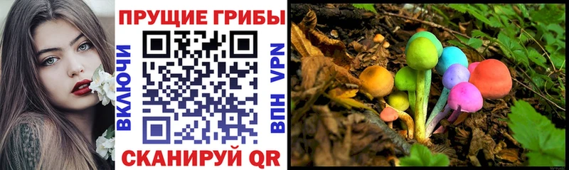 Псилоцибиновые грибы Psilocybine cubensis  Купить где  Наро-Фоминск 